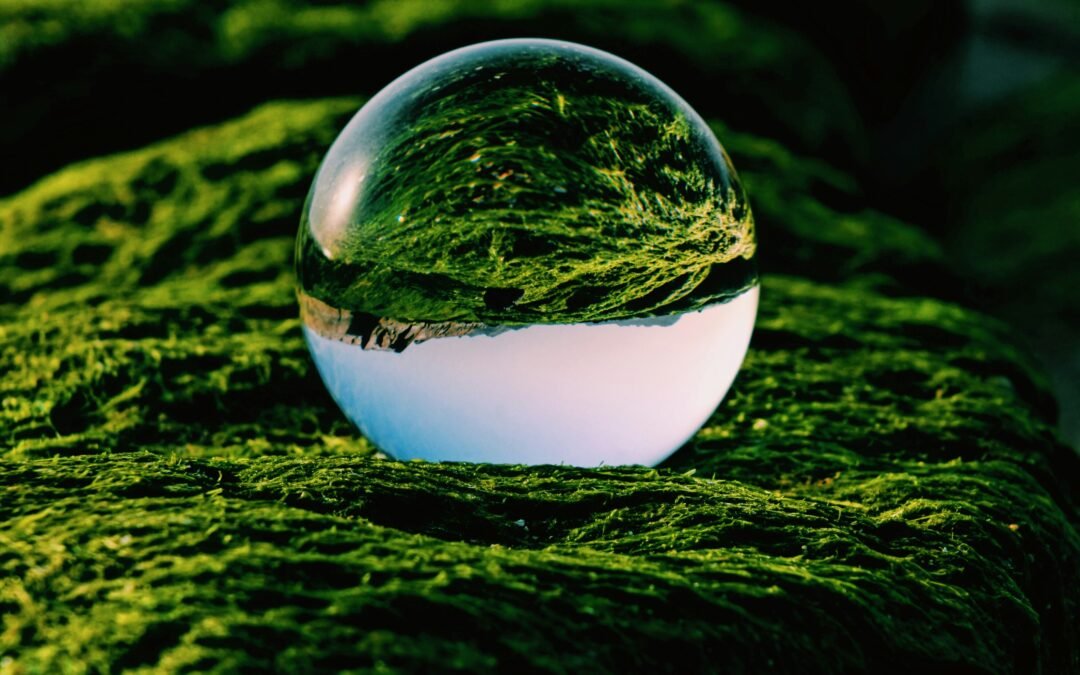 Aligning ESG with Public Trust: Meeting Today’s Expectations for Social Responsibility