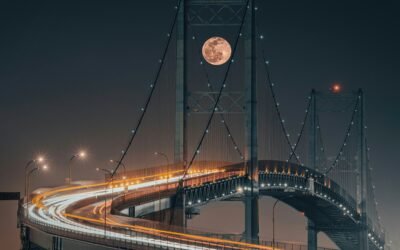 Investor Confidence Starts with Clarity: Bridging Public Affairs and Shareholder Relations