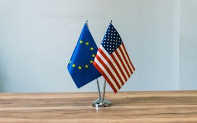 From Outreach to Influence: Strategic Public Affairs for Government Relations Success