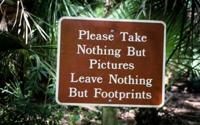 The Ethics of Influence: Upholding Transparency in Public Affairs Today