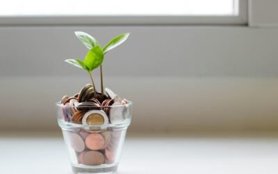 Stakeholder Capitalism in Practice: Communicating Business Value Beyond Profit