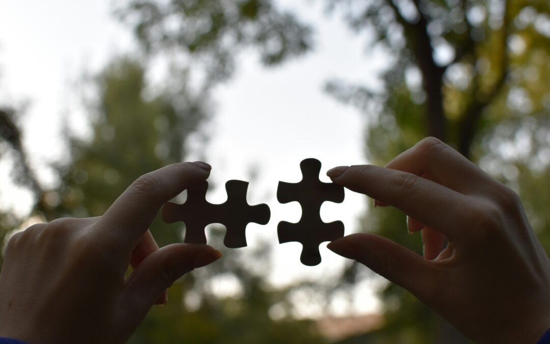 Reputation by Association: How Partnerships Shape Public Perception