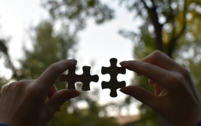 Reputation by Association: How Partnerships Shape Public Perception